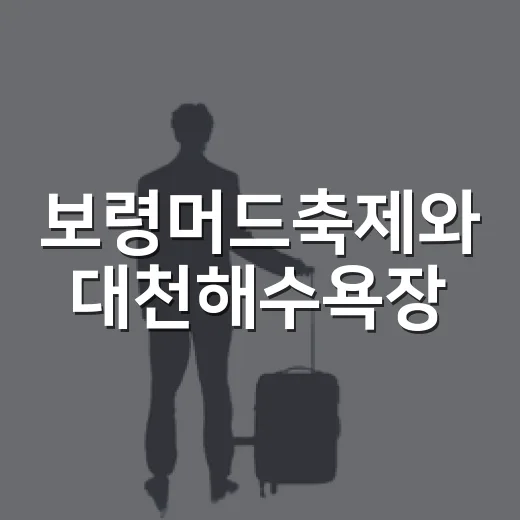 보령머드축제와 대천해수욕장, 여름의 진수