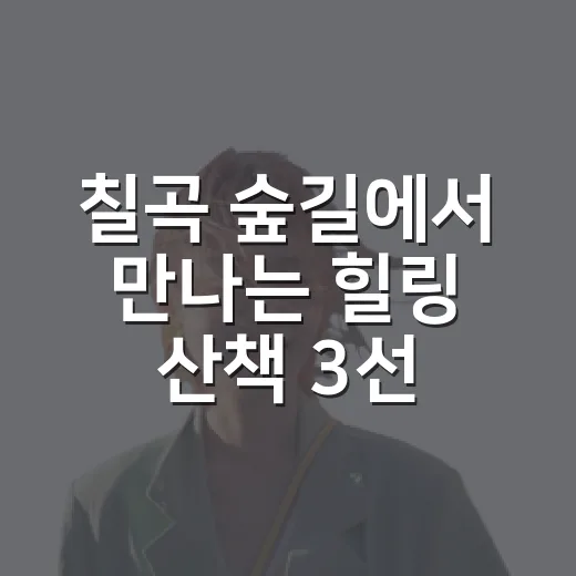 칠곡 숲길에서 만나는 힐링 산책 3선