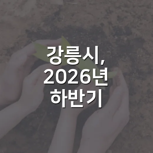 강릉시, 2026년 하반기 길고양이 중성화 사업 시작