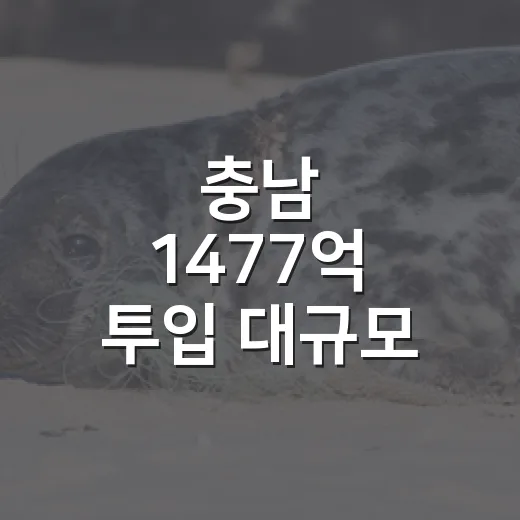 충남 1477억 투입 대규모 하천정비 추진