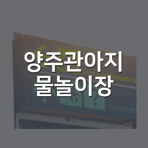 양주관아지 물놀이장, 여름철 가족 나들이 명소