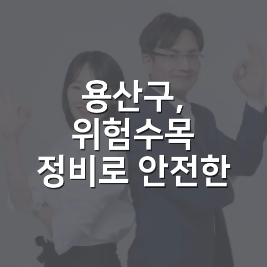 용산구, 위험수목 정비로 안전한 생활환경 조성