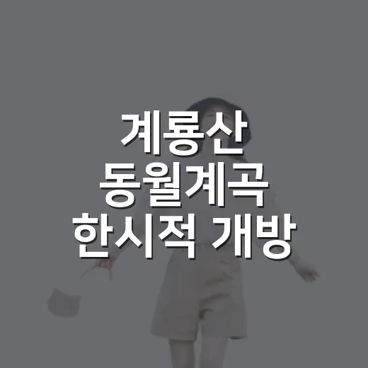 계룡산 동월계곡 한시적 개방