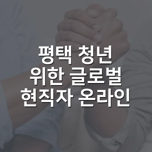 평택 청년 위한 글로벌 현직자 온라인 특강