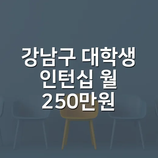 강남구 대학생 인턴십 월 250만원 지원