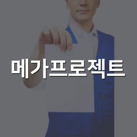 메가프로젝트, 속도전 넘어 전격전으로