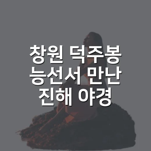 창원 덕주봉 능선서 만난 진해 야경