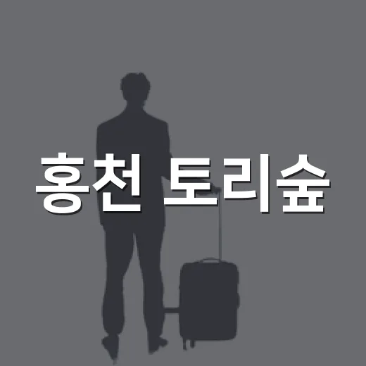 홍천 토리숲, 강변 산책과 가족 나들이 명소