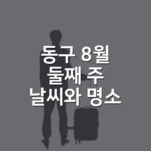 동구 8월 둘째 주 날씨와 명소 가이드