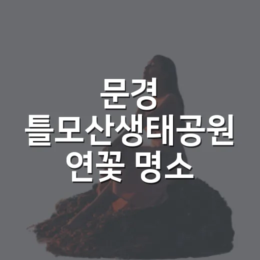 문경 틀모산생태공원 연꽃 명소
