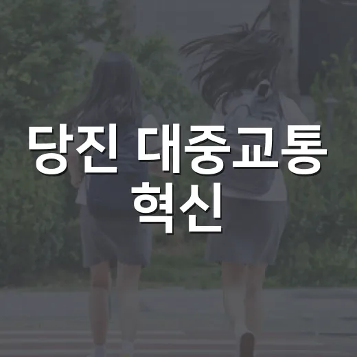 당진 대중교통 혁신, 신규 노선과 증편으로 편의 증대