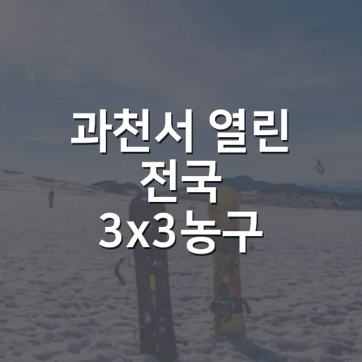 과천서 열린 전국 3x3농구 축제 현장