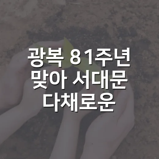 광복 81주년 맞아 서대문 다채로운 행사