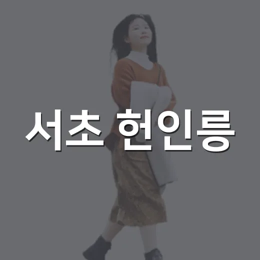 서초 헌인릉, 도심 속 역사와 자연의 만남