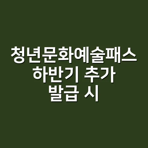 청년문화예술패스 하반기 추가 발급 시작