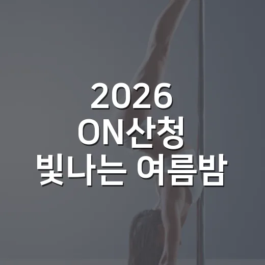 2026 ON산청 빛나는 여름밤 축제 현장