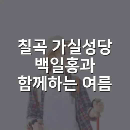 칠곡 가실성당 백일홍과 함께하는 여름 나들이