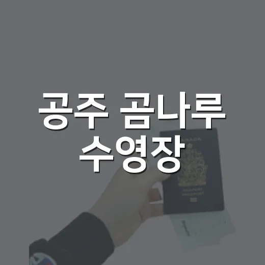 공주 곰나루 수영장, 가족 물놀이 명소