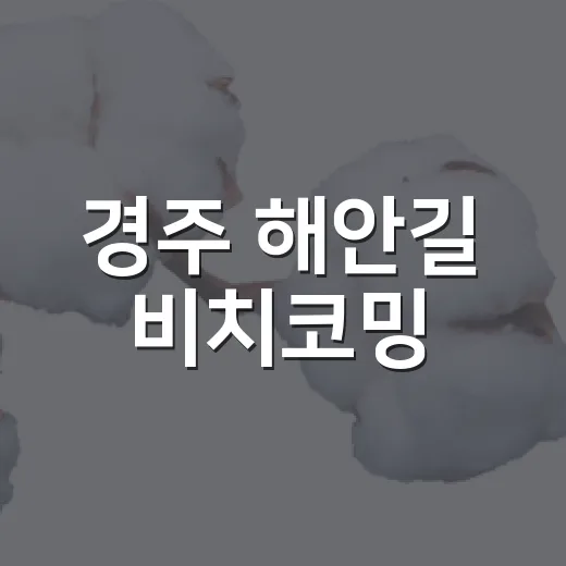 경주 해안길 비치코밍, 가족과 함께하는 해양정화 체험