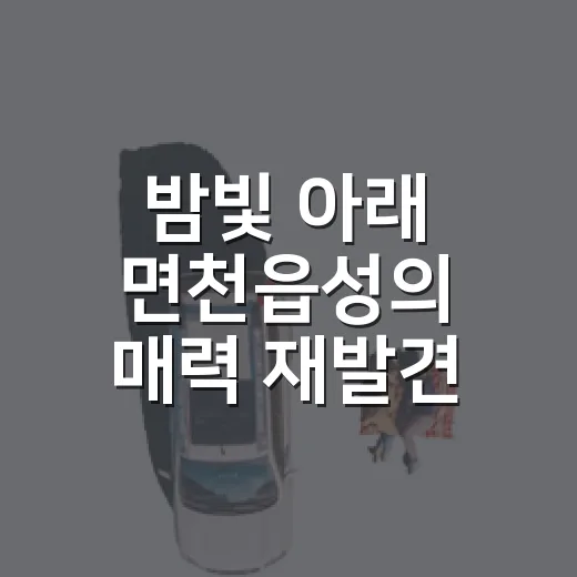 밤빛 아래 면천읍성의 매력 재발견