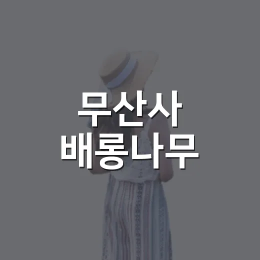 무산사 배롱나무, 여름 감성 산책길