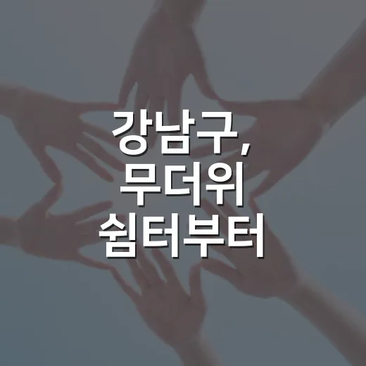 강남구, 무더위 쉼터부터 인턴십까지 다양한 주민 지원