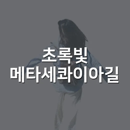 초록빛 메타세콰이아길, 공주 정안천생태공원 산책