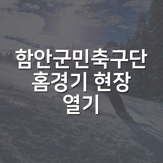 함안군민축구단 홈경기 현장 열기