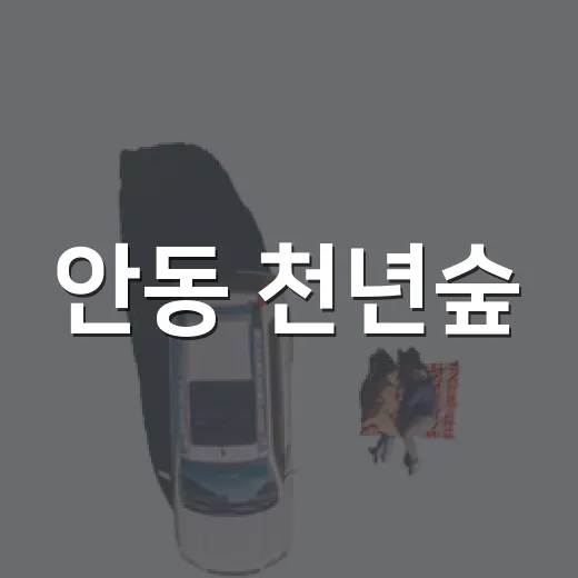 안동 천년숲, 도심 속 천년의 힐링 산책