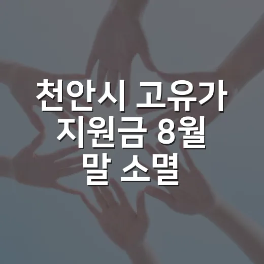 천안시 고유가 지원금 8월 말 소멸 임박
