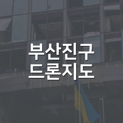 부산진구 드론지도, 국민심사 온라인 투표 시작