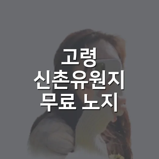 고령 신촌유원지 무료 노지 캠핑장 풍경