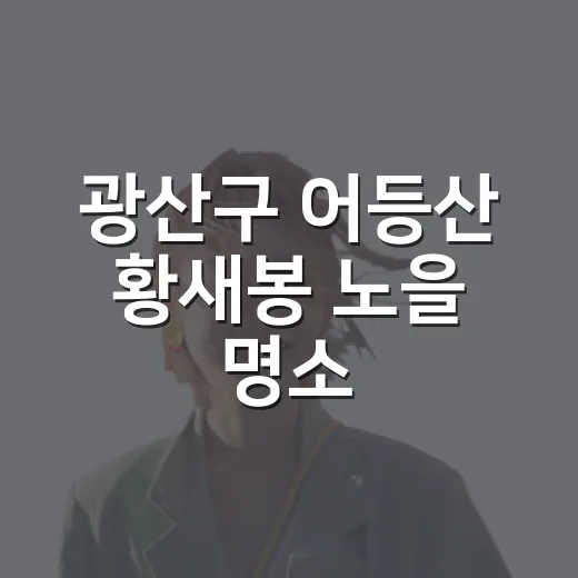 광산구 어등산 황새봉 노을 명소