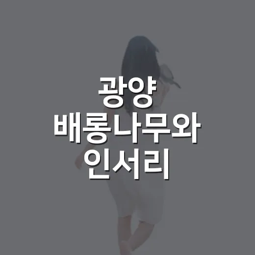 광양 배롱나무와 인서리 벽화골목 산책