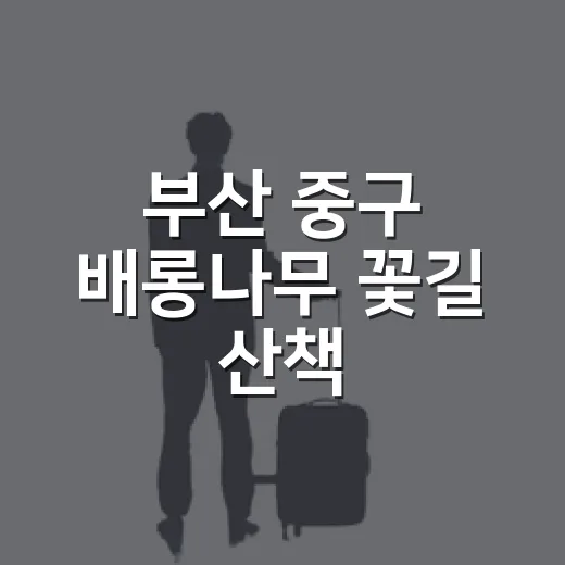 부산 중구 배롱나무 꽃길 산책