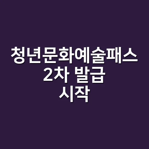 청년문화예술패스 2차 발급 시작