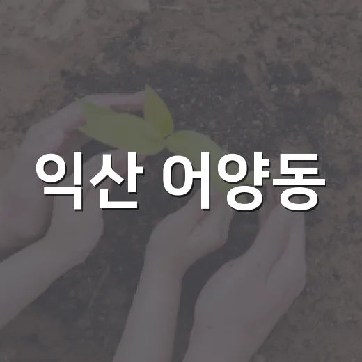 익산 어양동, 위기가구 긴급 지원 강화