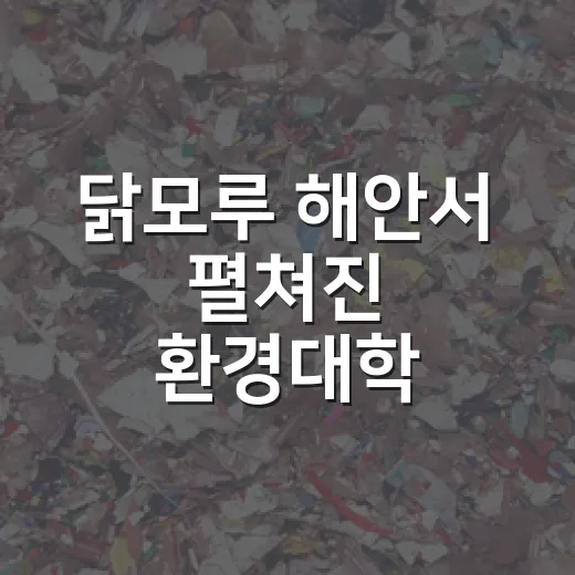 닭모루 해안서 펼쳐진 환경대학 29기 정화 활동