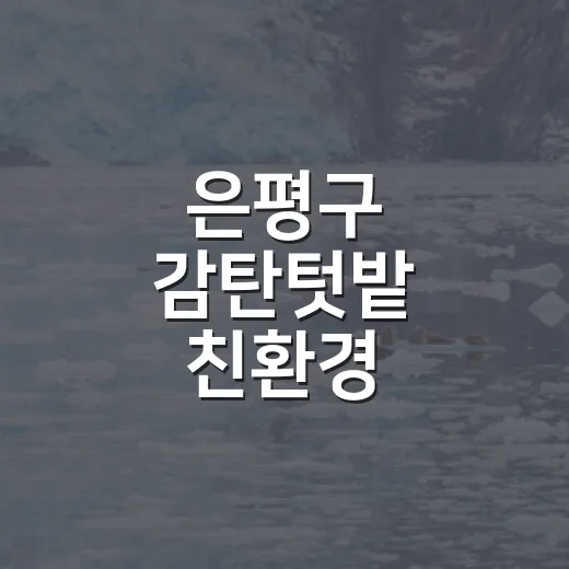 은평구 감탄텃밭 친환경 프로젝트 참여자 모집