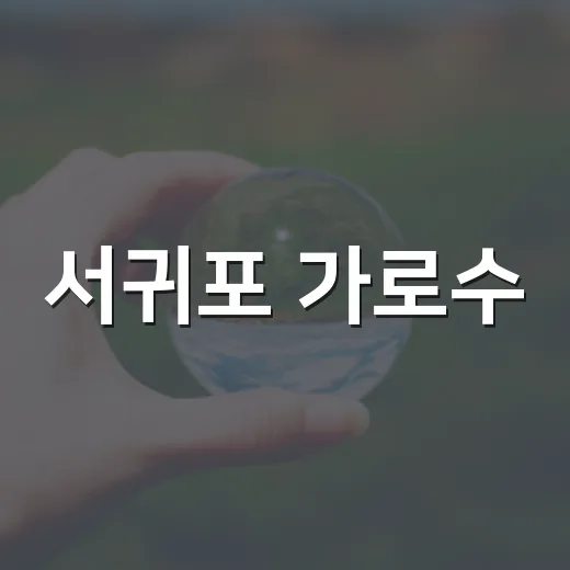 서귀포 가로수, 전국 우수사례 도전장