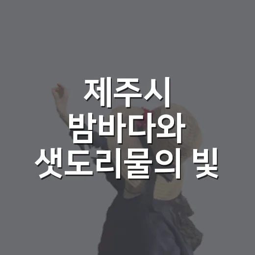 제주시 밤바다와 샛도리물의 빛 풍경