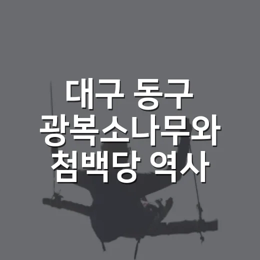 대구 동구 광복소나무와 첨백당 역사 산책