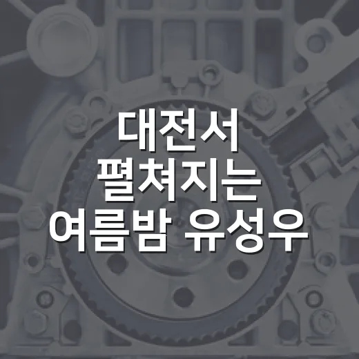 대전서 펼쳐지는 여름밤 유성우 축제