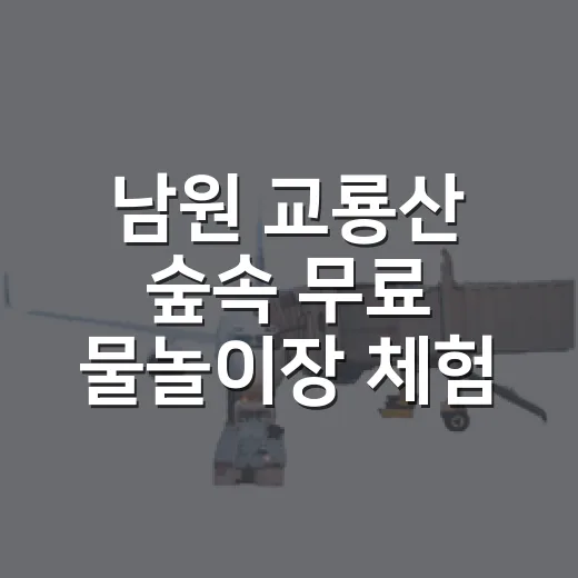 남원 교룡산 숲속 무료 물놀이장 체험기