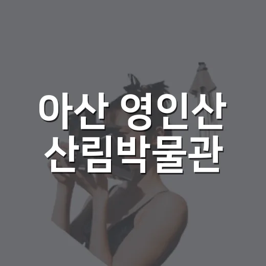 아산 영인산 산림박물관, 셔틀로 즐기는 무료 목공 체험