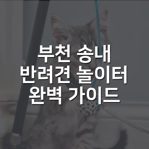 부천 송내 반려견 놀이터 완벽 가이드
