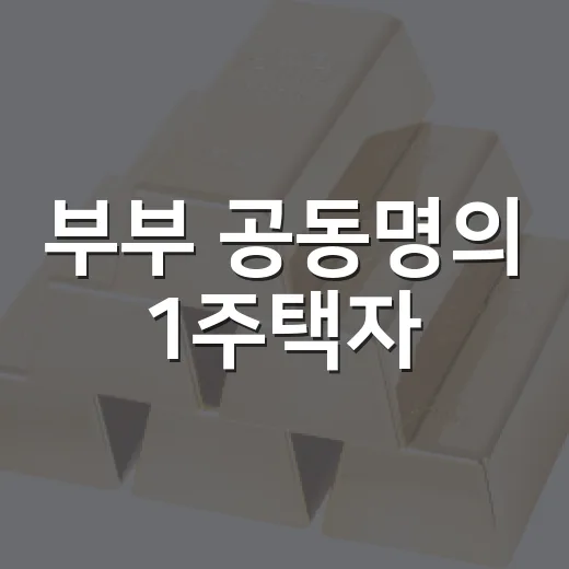 부부 공동명의 1주택자, 다주택자 아냐
