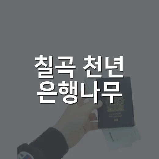 칠곡 천년 은행나무, 소원과 위로의 명소