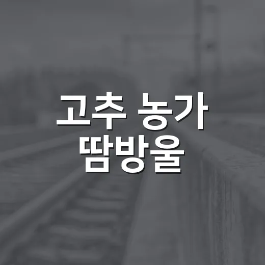 고추 농가 땀방울, 장학금으로 꽃피우다