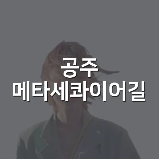 공주 메타세콰이어길, 초록 터널 속 힐링 산책
